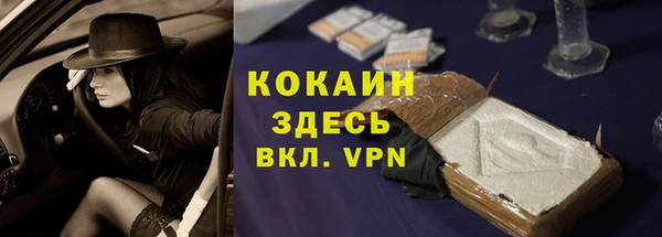 кокс Арсеньев