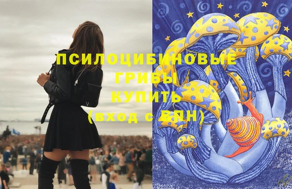 ПСИЛОЦИБИНОВЫЕ ГРИБЫ Армянск