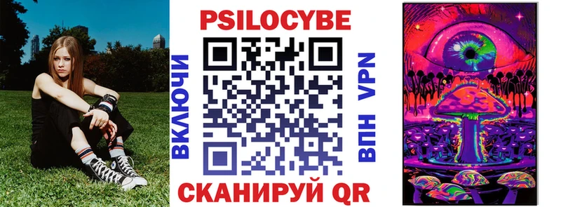 Галлюциногенные грибы Psilocybe  купить   Пущино 